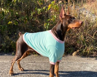 Pastel Color Block T-shirt, 3XL-6XL, Large Dog Clothes, Large Breeds Dogs Tee, Large Dog Apparel, Big Dog Clothes