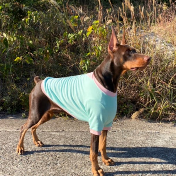 Pastel Color Block T-shirt, 3XL-6XL, Large Dog Clothes, Large Breeds Dogs Tee, Large Dog Apparel, Big Dog Clothes