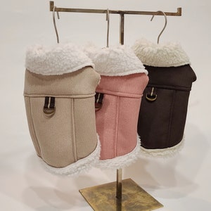 Corduroy Dog Harness Vest, Plush Collar, Gold Button Detail