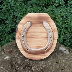 Real horseshoe on wooden board / Handmade creation, entirely handmade / Lucky charm / Wall decoration / Unique creation