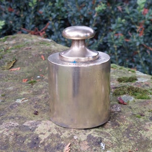 Op de afbeelding: Een zilveren metalen gewicht met een afgeronde bovenkant. Het gewicht ligt op een mossige rots.