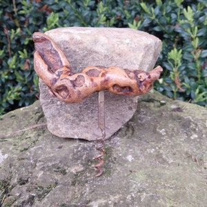 Può includere: Un cavatappi in legno con un manico rustico e nodoso e una spirale in metallo. Il cavatappi è appoggiato su una roccia grigia.