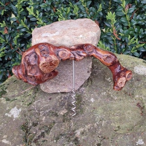 Può includere: Un cavatappi in legno con una finitura marrone naturale. Il cavatappi ha la forma di un ramo curvo con una spirale di metallo.