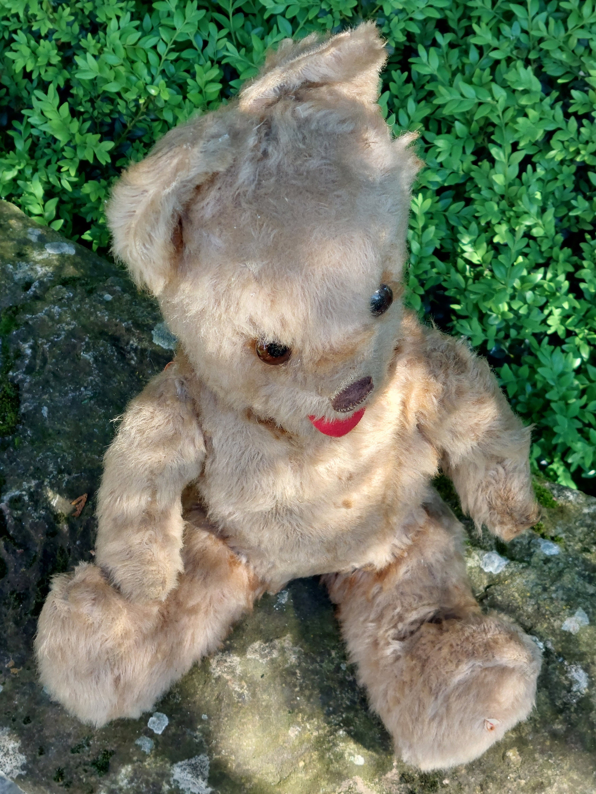 Ancien Ours En Peluche Articulé En Mohair - Début XXe Siècle - Teddy Bear Vintage