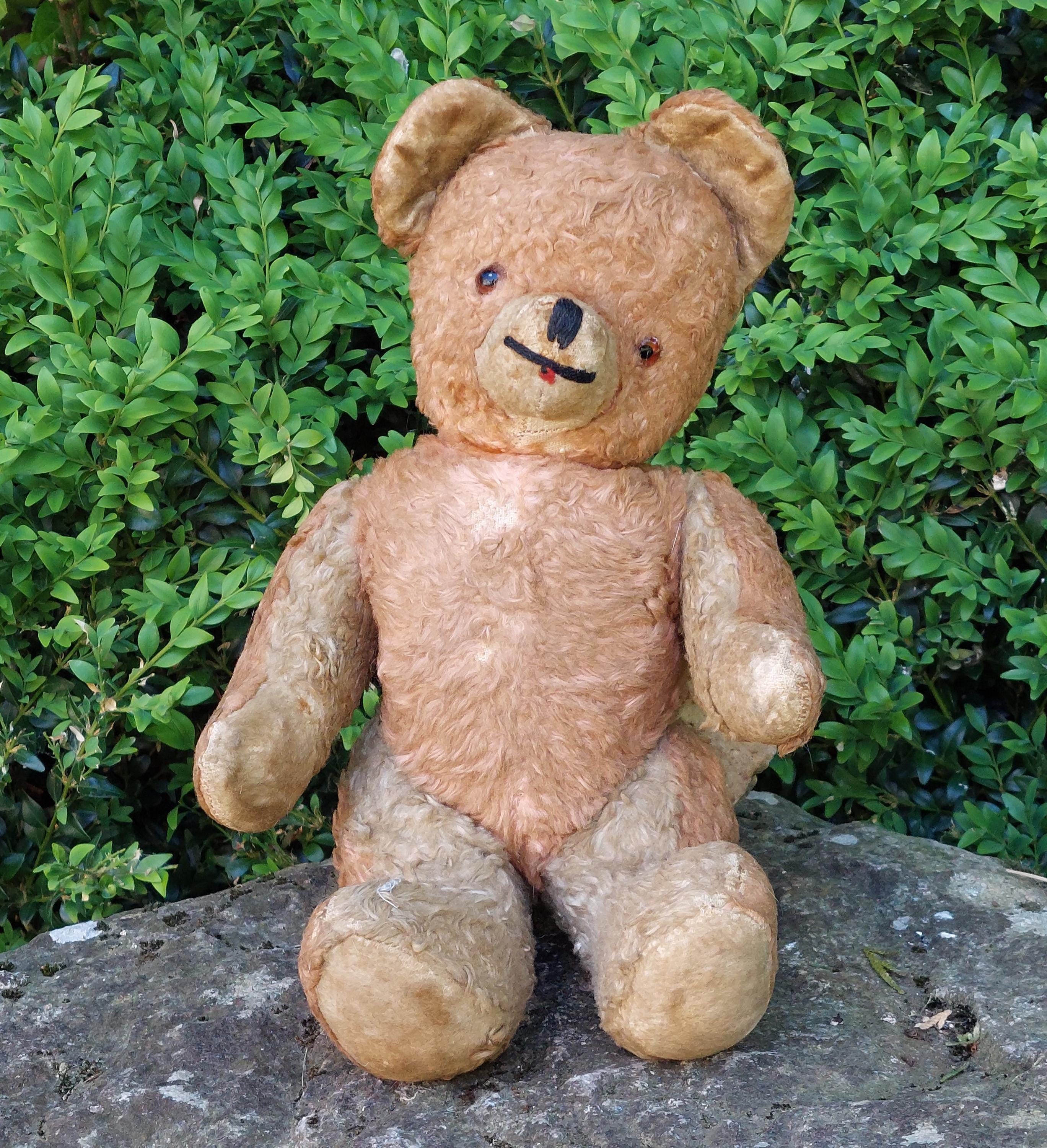 Antique french bear - Etsy 日本