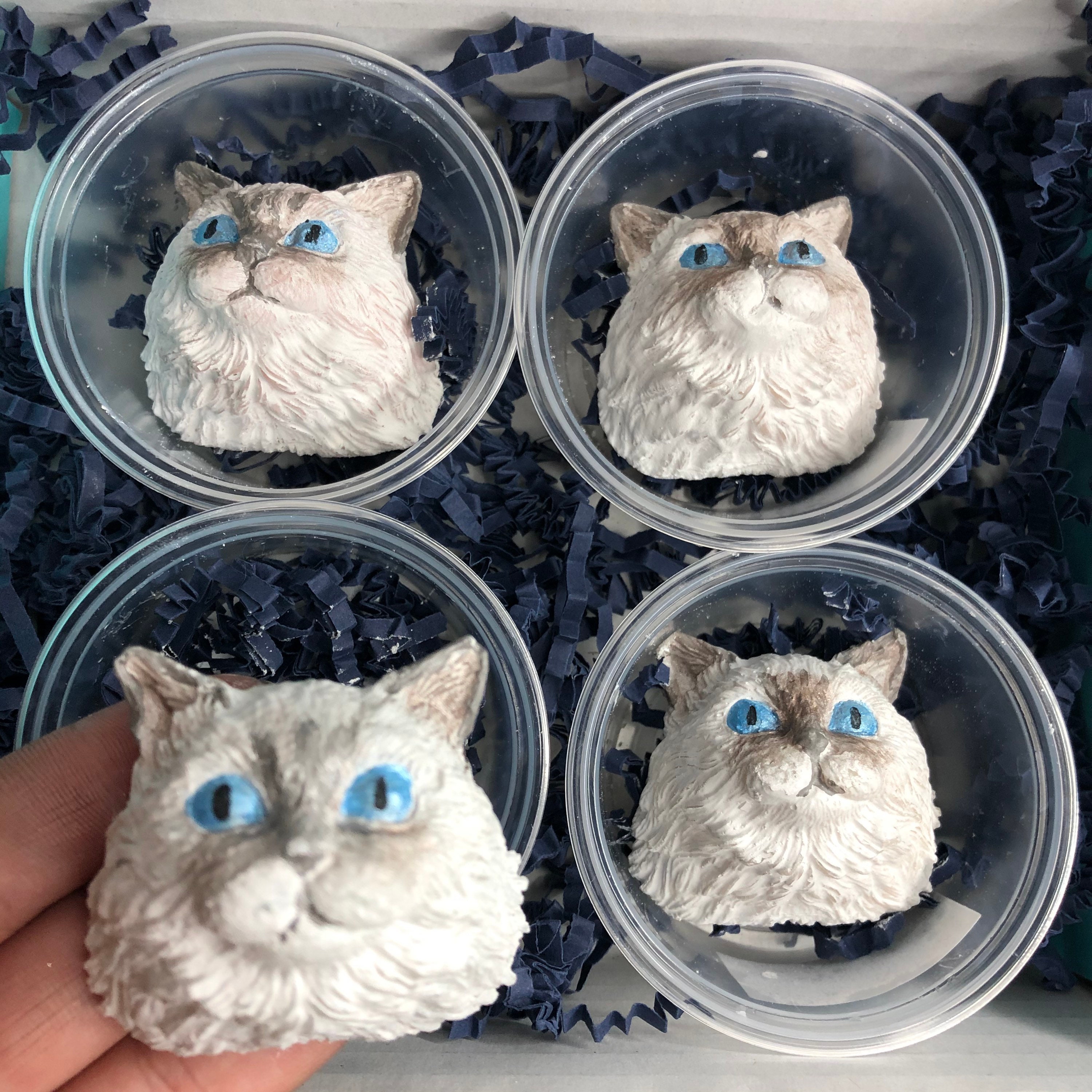 Custom Pet Wax Melts Etsy