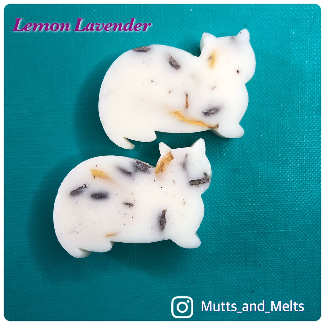 2x Cat Shaped Wax Melts Etsy
