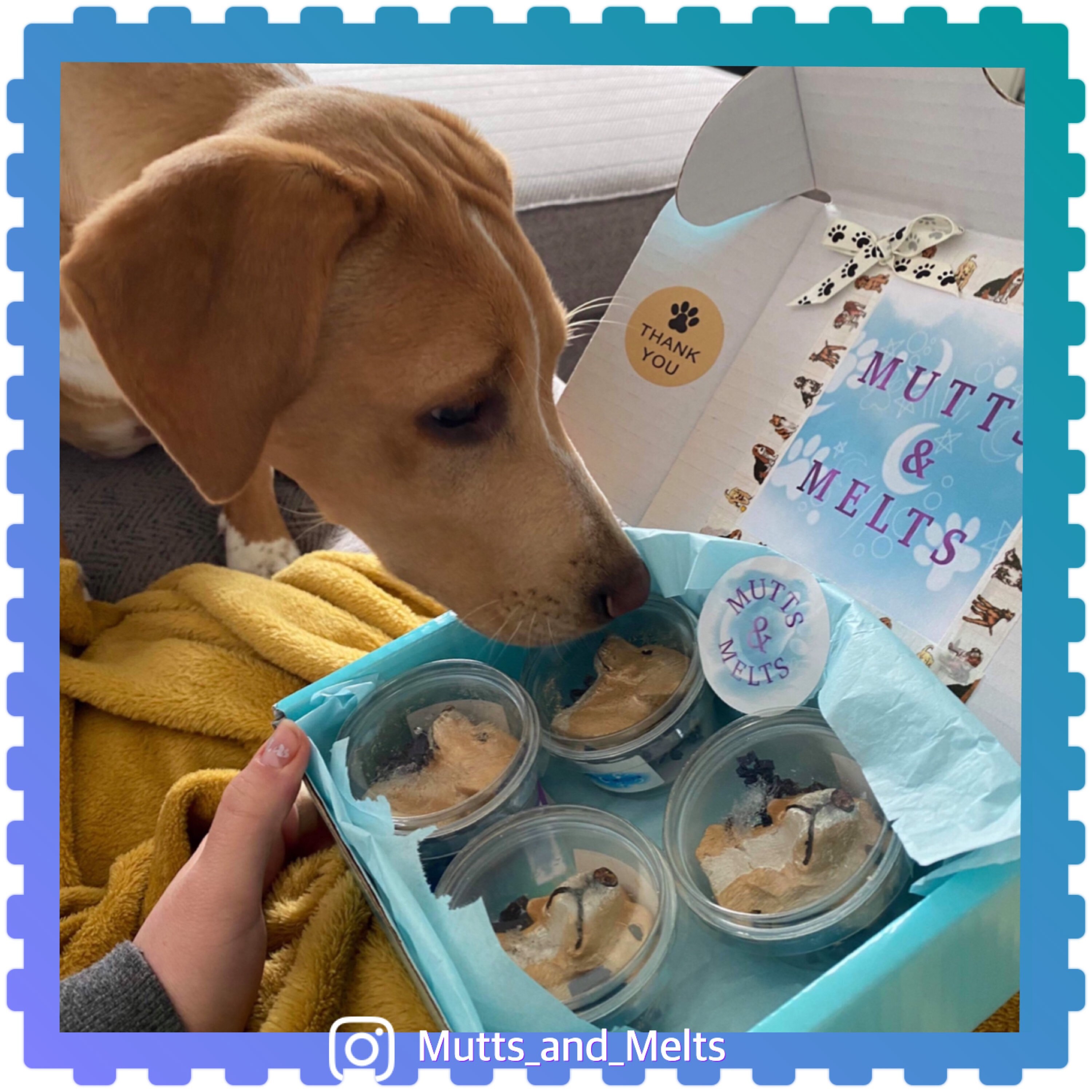 Custom Pet Wax Melts Etsy