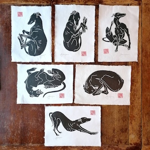 Puede incluir: Cinco impresiones en blanco y negro de un perro en diferentes poses. Cada impresión está sobre un fondo blanco con un sello rojo en la esquina inferior derecha.