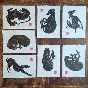 Set di 7 cani da caccia, levrieri, levrieri e whippet stampati a mano in linoleografia. (Ogni formato A4). Disponibile anche in edizione blu.
