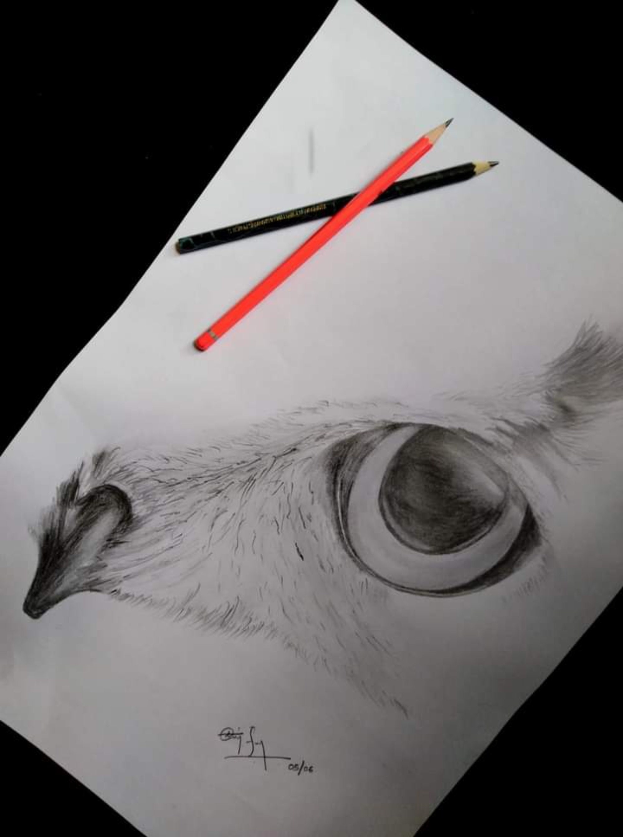  Pencil Art Drawings Etsy