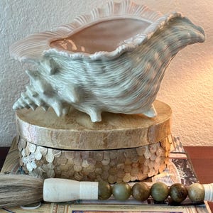 Conch Shell Planter Vintage