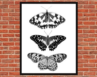 Butterfly Wall Art Printable, Butterfly Digital Art, Wall Art, Butterfly Print, Black and White Wall Art, Living Room Décor, 8x10, 11x14