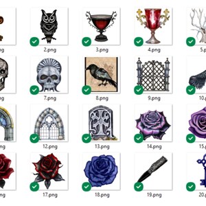 May include: A set of 20 digital images featuring gothic and fantasy themed illustrations. The images include a key, an owl, a goblet, a gate, a skull, a rose, a crow, and an archway.