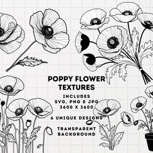 Mohnblumen Blumen Clipart, Mohnblumen SVG, rote Mohnblumen PNG, kalifornischer Mohn SVG. Mohnblume Clipart, rote Mohnblumen Clipart, Mohnblumen, Mohnblume