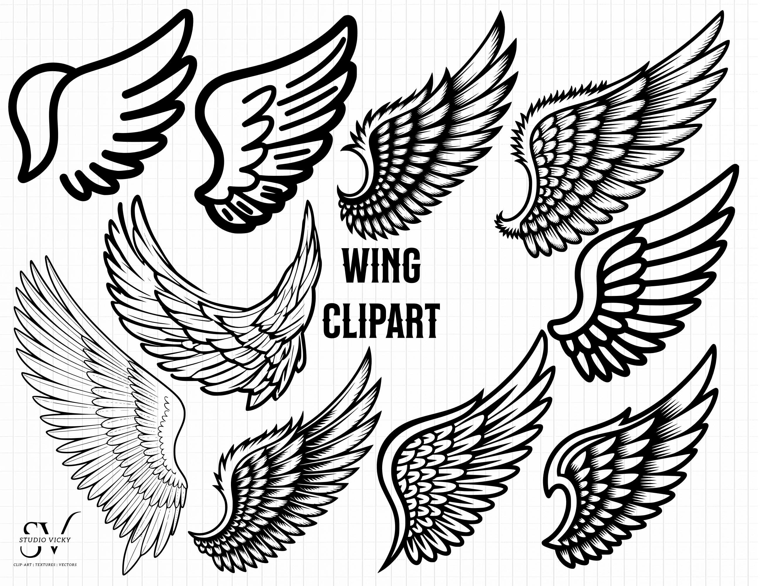 Angel Wing Clipart: Black and White Feather SVG, PNG (Digital Download)
