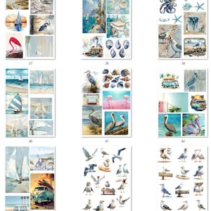 FREE SHIPPING USA Nautical Paper, Nautical Ephemera, Coasters, Beach Decoupage, Shell Paper, Beach Ephemera, Seagulls Nautical PNGs 37-45