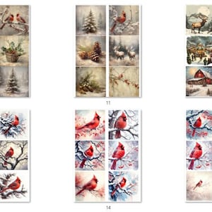 May include: A set of 15 digital printable images featuring winter scenes with cardinals, pine cones, snow, and trees. The images are perfect for crafting, scrapbooking, and other creative projects.