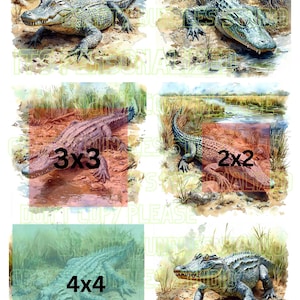 May include: Watercolor illustrations of alligators in a swamp setting. The image features several depictions of alligators in various poses, with a focus on their textured skin and environment. The text "3x3", "2x2", and "4x4" is visible.