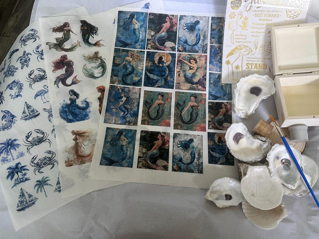 Free Shipping** Shell Craft Kit, Decoupage Shells, DIY Shell Kit ...