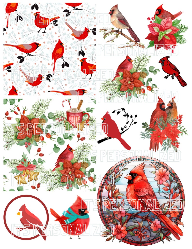 FREE SHIPPING USA 9.5x13 Inches Cardinal Rice Paper, Coaster Rice Paper ...