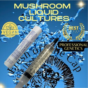 Mushroom Liquid Cultures