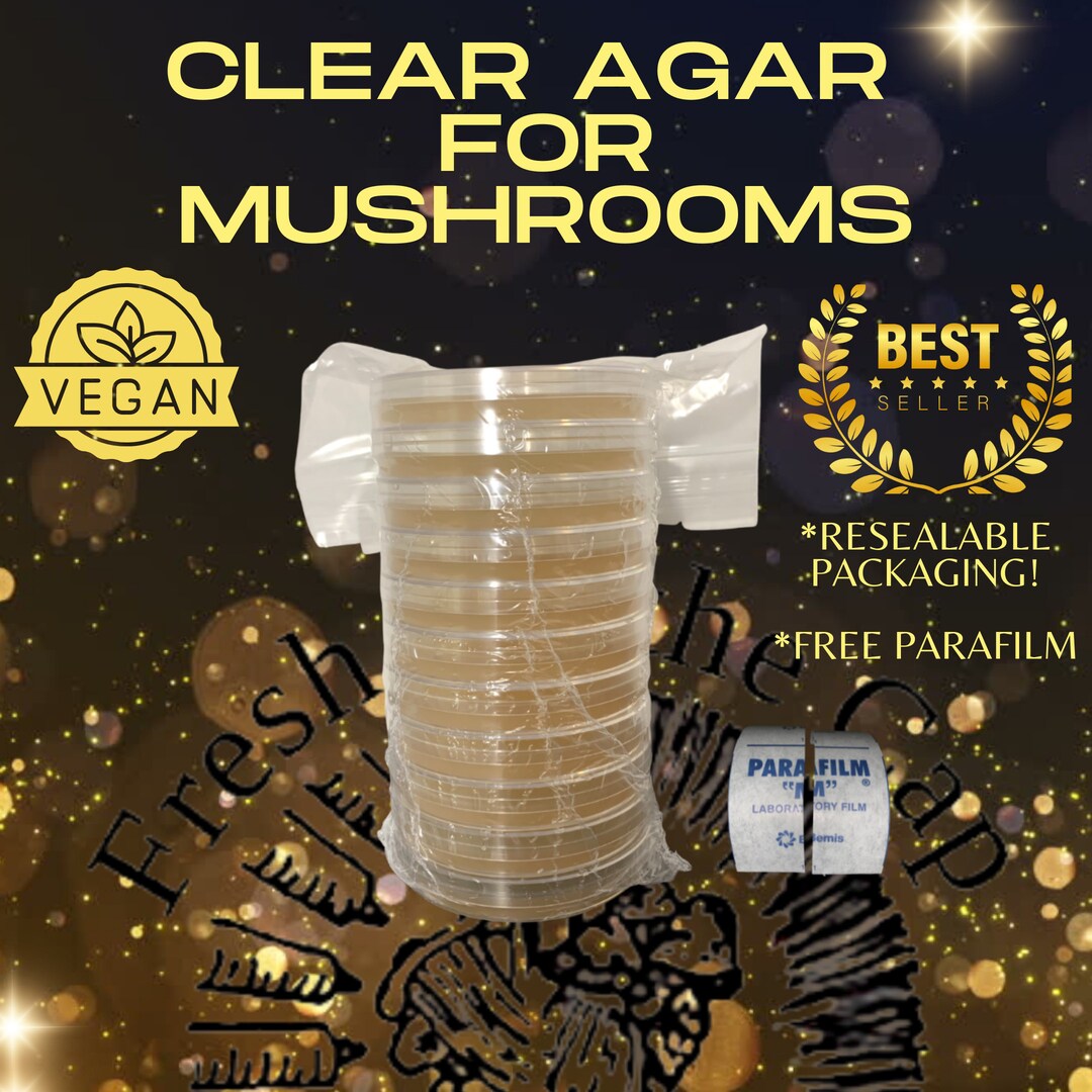 Clear Agar Plates 10 Plates for Mushrooms Etsy