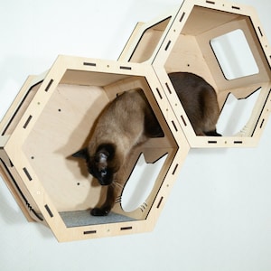 Estantes hexagonales para gatos, árbol para gatos de esquina, estantes de pared para gatos, pared de estante para gatos, árbol de pared para gatos, cama de pared para gatos, pared de muebles para gatos, casa para gatos