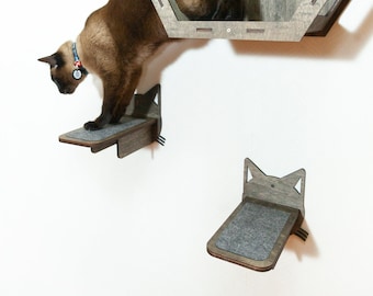 May include: A brown cat with a blue collar is climbing a wooden cat tree. The cat tree has a hexagonal shaped house and two platforms with cat-shaped cutouts. The platforms are covered in gray felt.