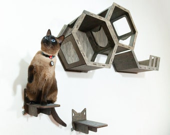 May include: A brown wooden cat tree with multiple hexagonal shelves and a small platform. A Siamese cat with blue eyes is sitting on the platform, looking up.