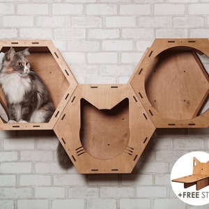 Custom cat shelves hexagons, Climbing wall cats, Cat wall house, Cat wall furniture, Cat wall shelves