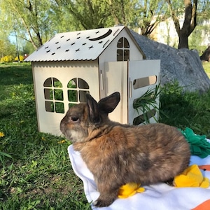 Wooden rabbit house with a feeder