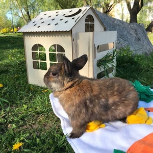 Rabbit House with Feeder