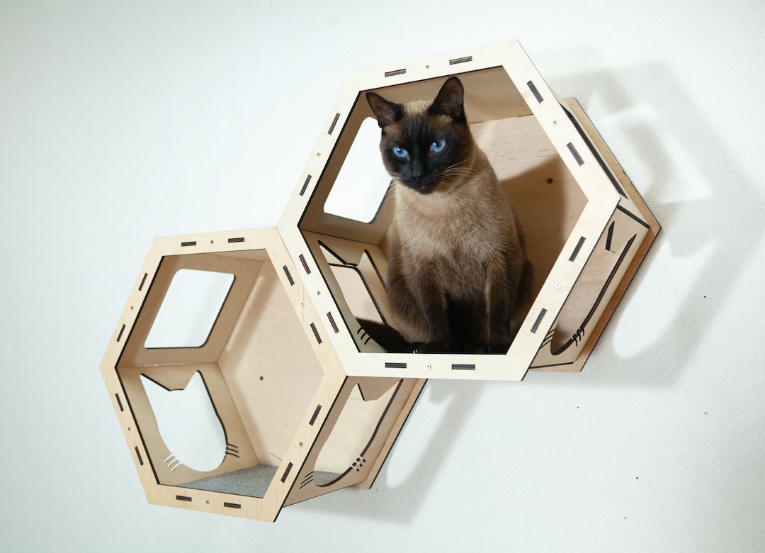 Picture of Wooden Cat Shelves, Custom Cat Wall Furniture, Handmade Cat Shelf, Cat ...