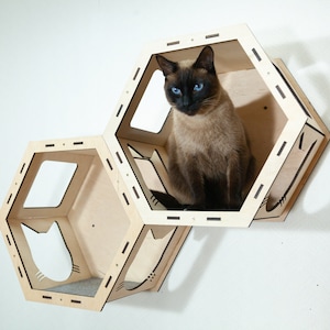 May include: A cat sits inside a wooden hexagonal cat condo. The condo is made of light wood and has a cutout of a cat's face on the front. The condo is attached to the wall.