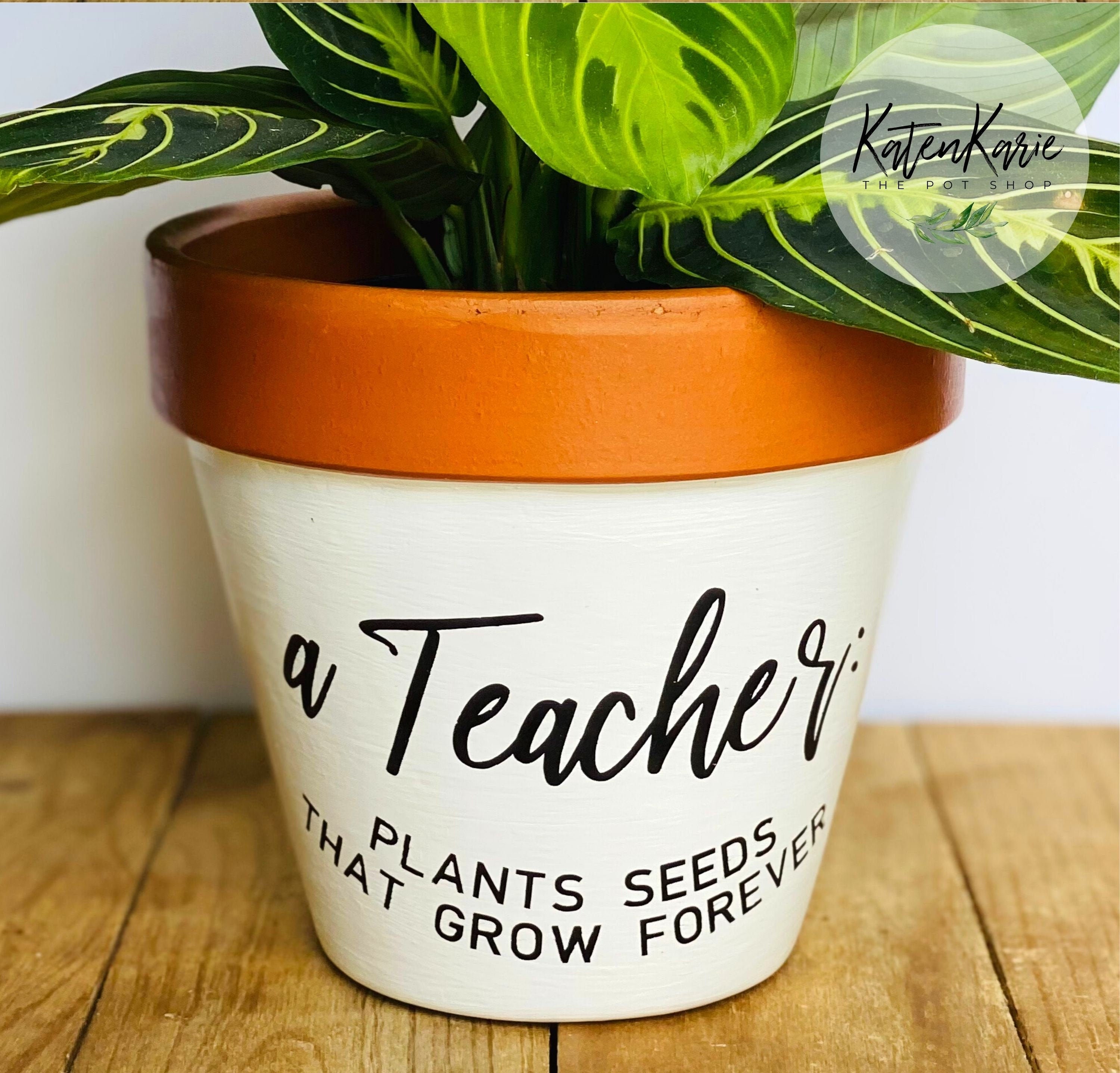 A TEACHER Plants SEEDS That GROW Forever Custom 6 Terra Etsy