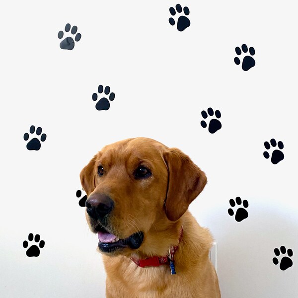 Paw Print Wall Decal Etsy