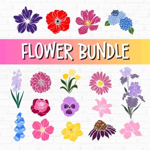 Pacchetto di fiori SVG, file di taglio floreali per Cricut, clipart botaniche colorate, margherite, rose, tulipani, iris, gigli, decalcomanie per magliette fai da te, design artigianale