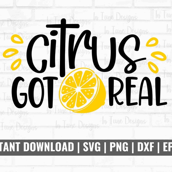 Lemon Puns SVG, Lemon svg, lemon png, lemon clip art, citrus svg, Lemonade svg, Fruit Cut File, svg for Cricut Silhouette, Digital Download