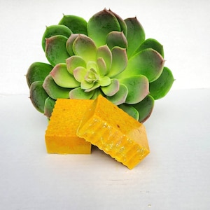 May include: Two bars of yellow soap with a textured surface, sitting on a white background next to a green succulent plant.