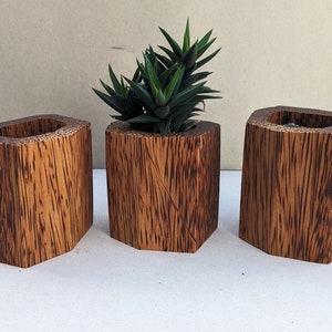 3er Set Pflanzgefäße aus Kokosholz