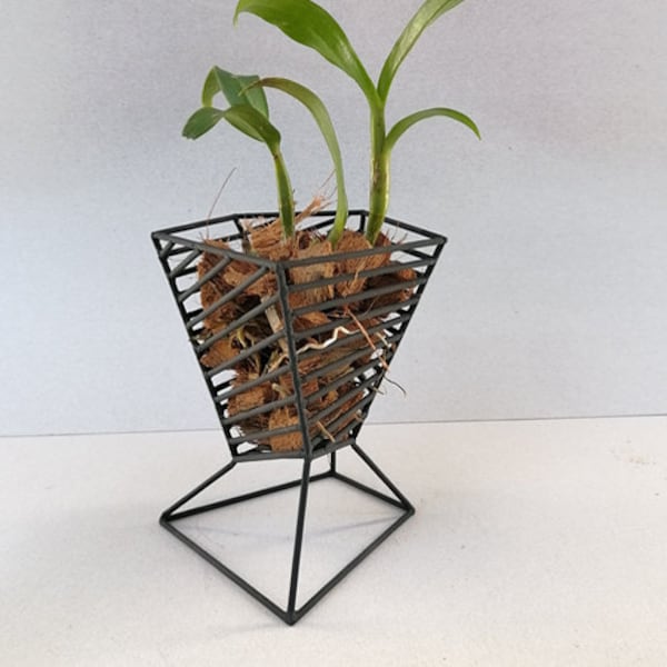 Jardinera metálica de orquídeas - geométrica