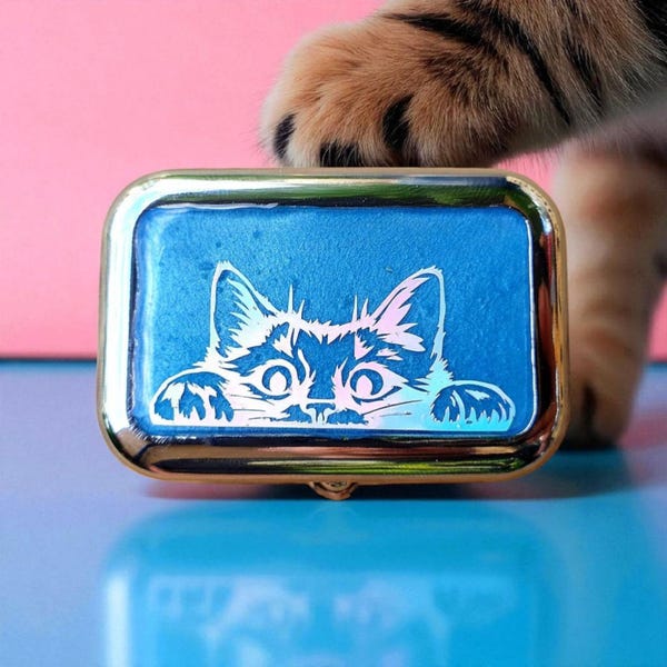 Edelstahl Aschenbecher mit abschließbarem Deckel Tragbarer Desktop-Aschenbecher aus Metall mit niedlichem Harz-Katzen-Design