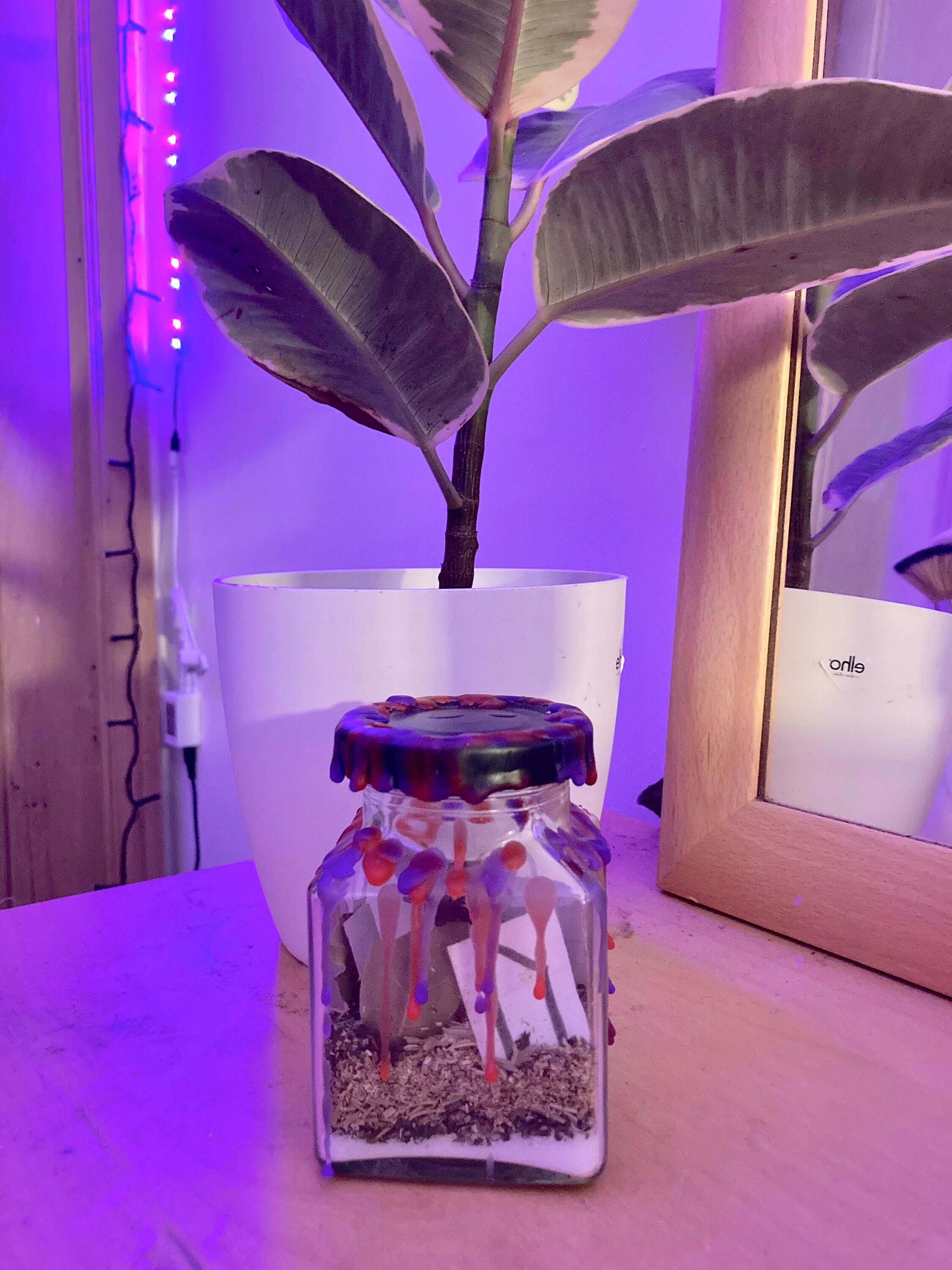 Employment Spell Jar Etsy