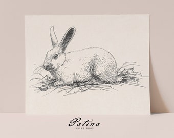 Rabbit Print | Vintage Bunny Drawing | Woodland Nursery Decor | Vintage Nursery Prints | Mailed Fine Art Prints | RABBIT | 81P
