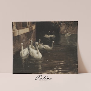 May include: A vintage painting of a group of white swans swimming in a dark, murky canal. The swans are in a row, with their heads turned towards the viewer. The painting is set against a backdrop of a stone wall and a dark, shadowy archway.