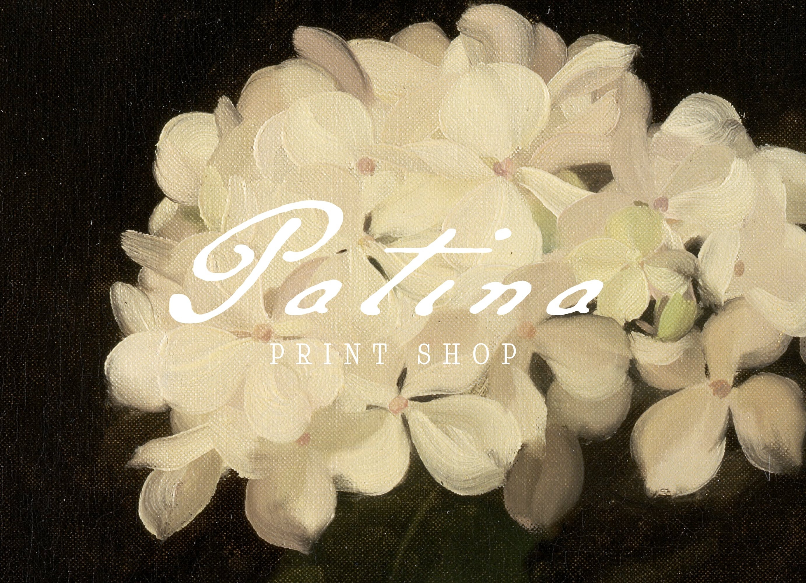 Vintage Hydrangea Painting | Flower Still Life Print | Antique ...