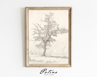 Vintage Tree Sketch | Tree Drawing | Nature Print | Antique Sketch Art | Farmhouse Deor | Printable Wall Art | 30
