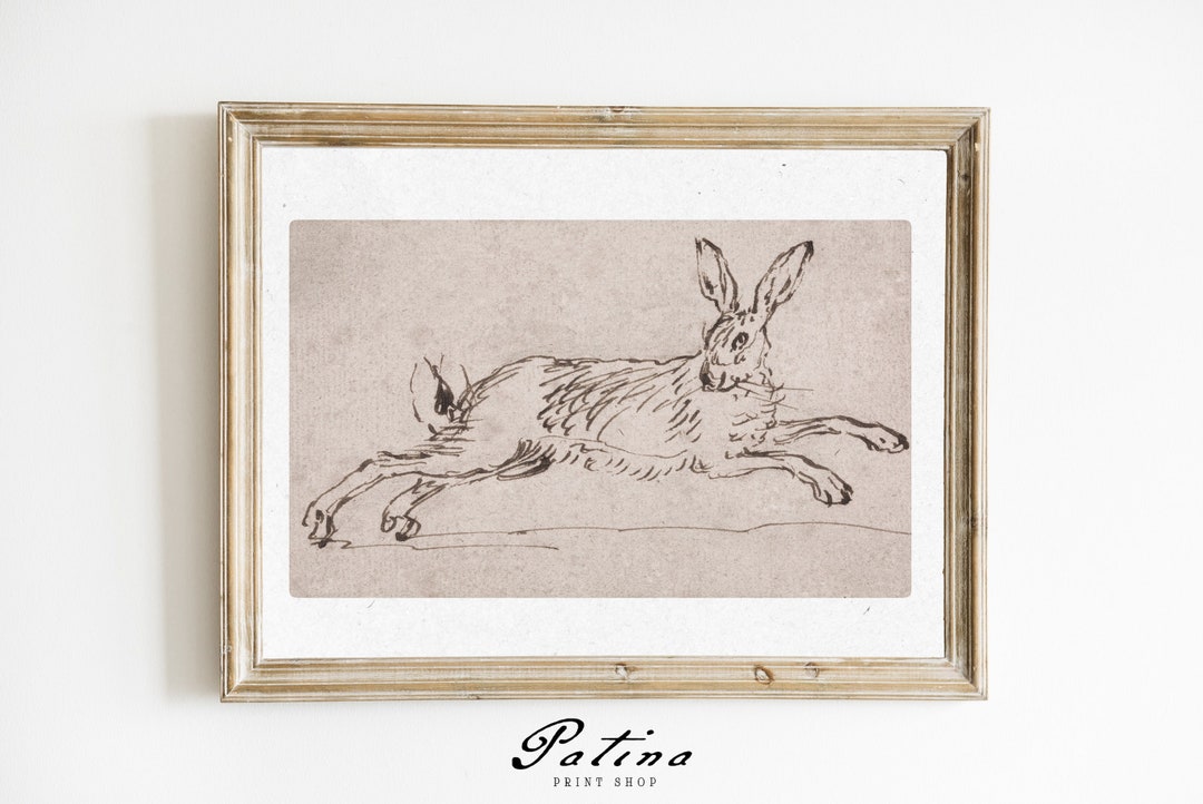 Vintage Rabbit Print Bunny Rabbit Sketch Vintage Easter Wall Art Spring