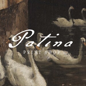 May include: A painting of white swans swimming in a dark body of water. The text "Patina Print Shop" is written in white cursive letters on the image.